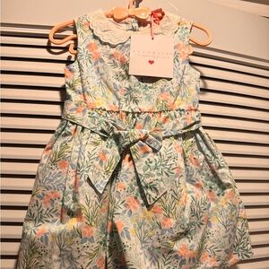 Girls' Floral Lace-Collar Dress in Pastel Green by